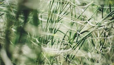 Cómo hacer buena suerte con tus propias manos.