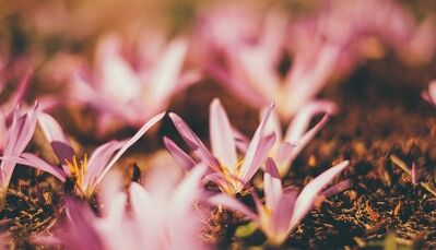 cómo hacer buena suerte con tus propias manos